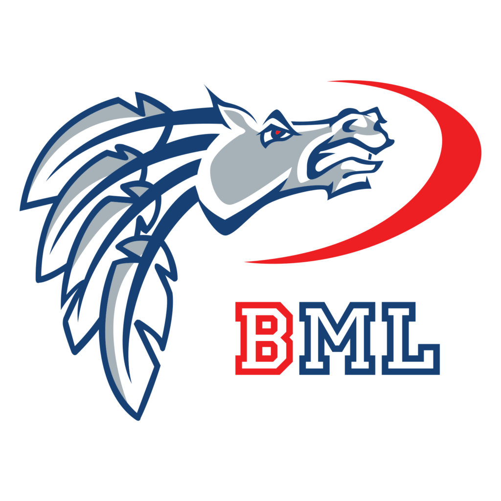 logo Badminton Maisons-Laffitte BML Christophe Lefebvre Photographe